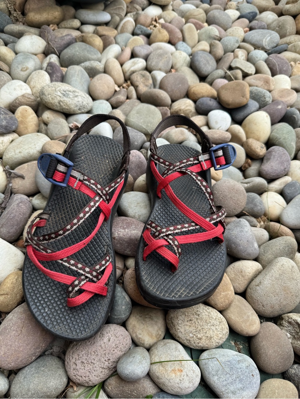 Chaco Women's Red and Brown Strappy Sport Sandals